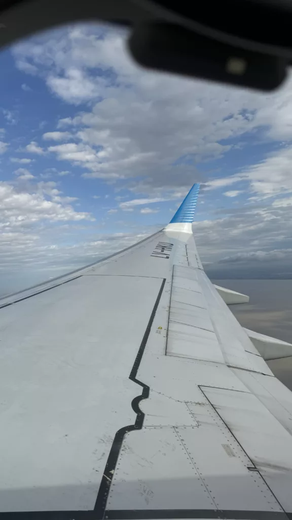 Aerolineas argentina plane view