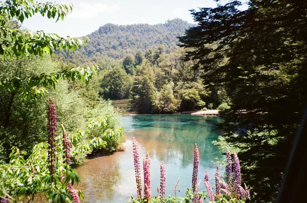 tiny lake on the 7 lakes road