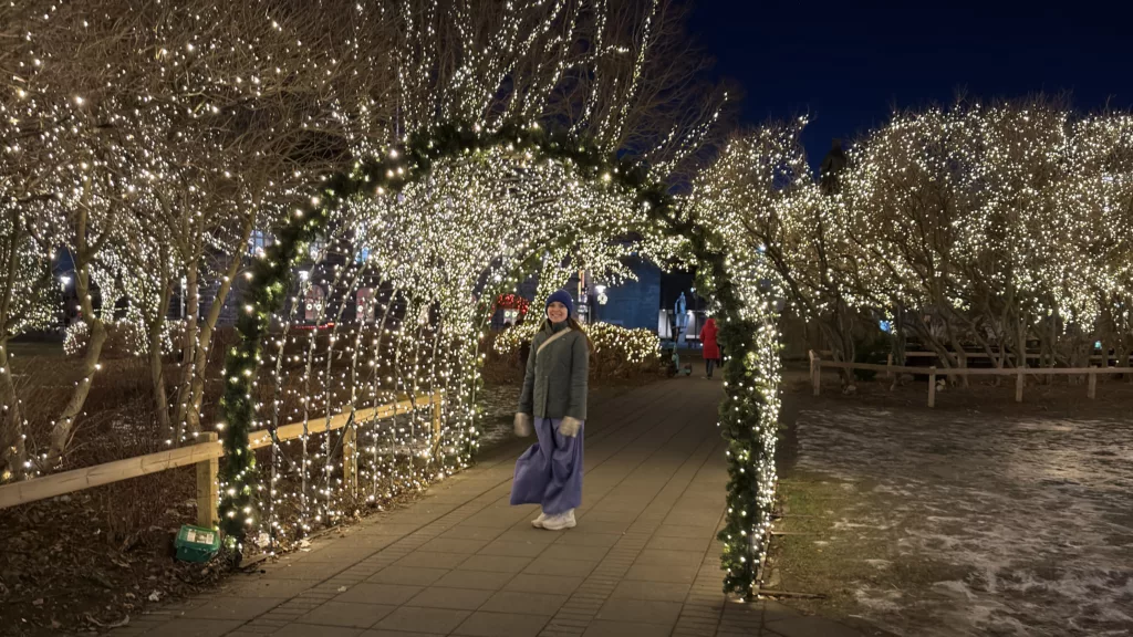 Rejkiavik street at night 