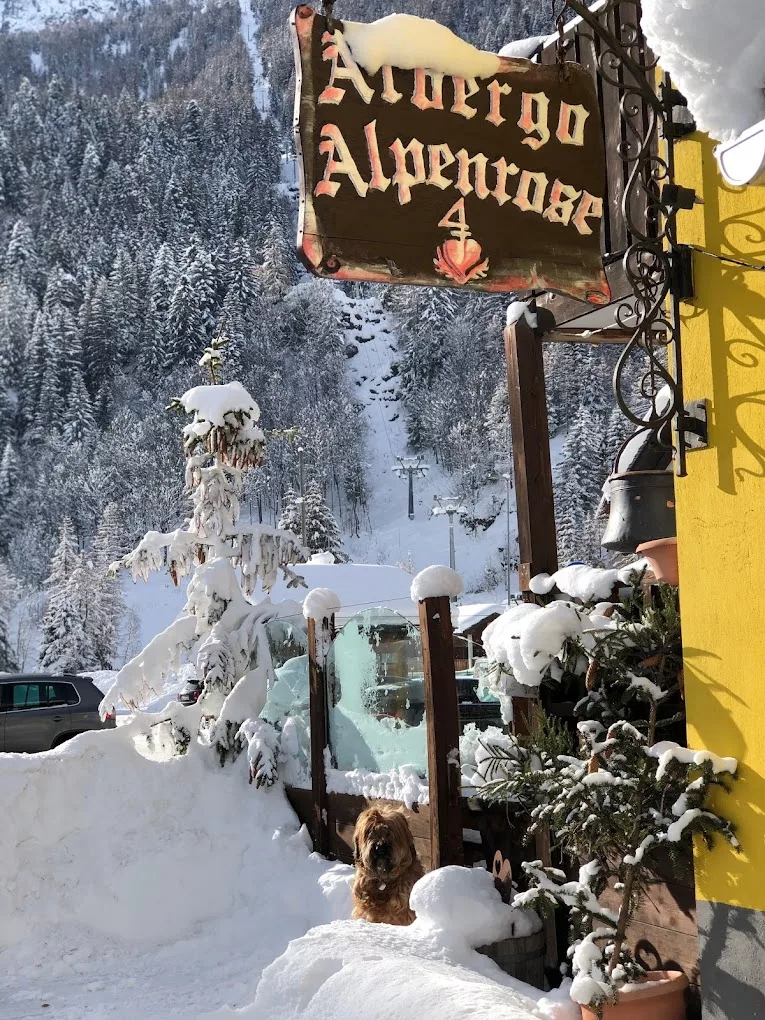 Albergo Alpenrose and the view on the slopes