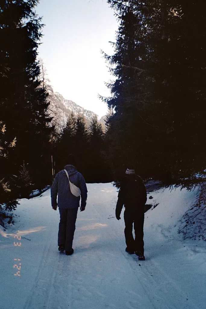 Walk in the forest of Gressoney