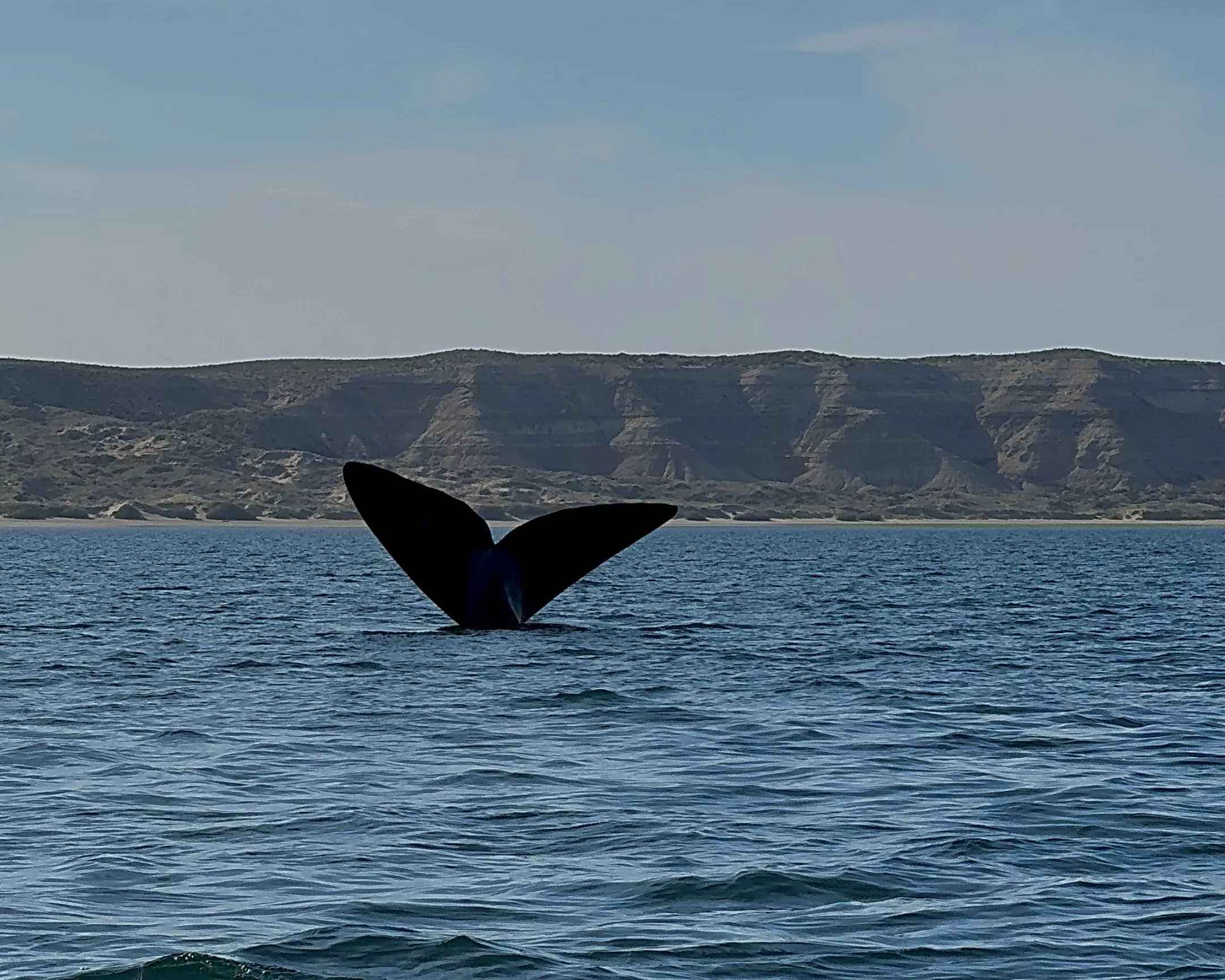 3 days in Puerto Madryn